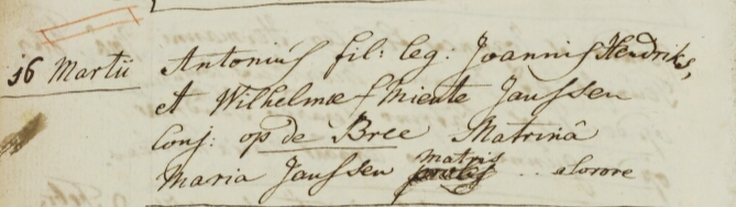 Joannes Hendriks en Wilhelmina Miente Janssen op de Bree 16-3-1769.png